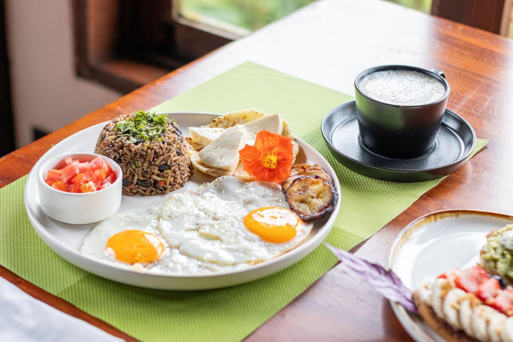 Villa Blanca Cloud Forest Hotel & Retreat San Ramón Eksteriør billede
